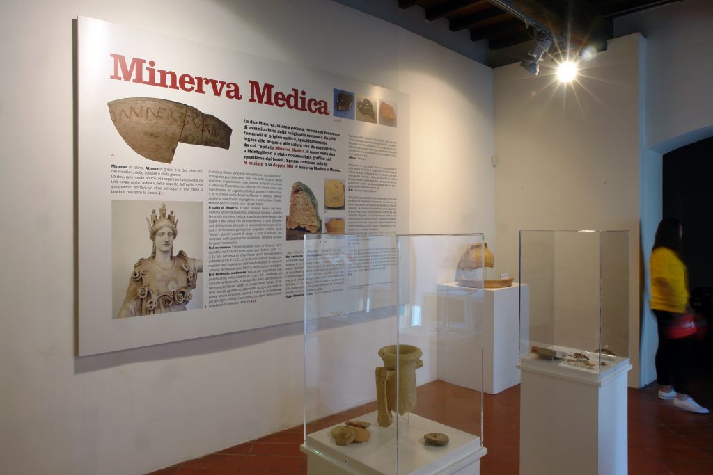 8.Minervamedica