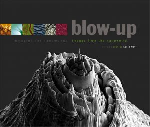 Blow up _ Immagini del nanomondo